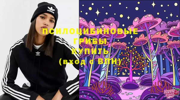 бошки Медногорск