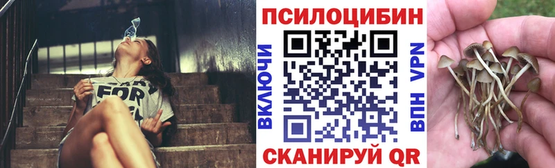 где найти наркотики  Ессентукская  Галлюциногенные грибы прущие грибы 